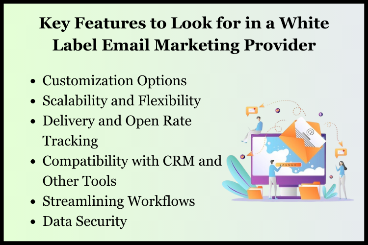 Key Features to Look for in a White Label Email Marketing Provider